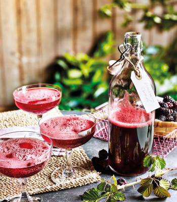 Blackberry fizz cocktail 