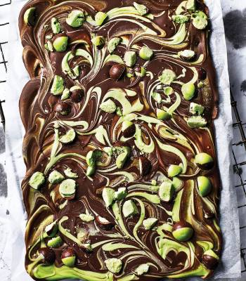 Mint chocolate bark 