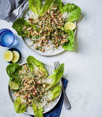 Fragrant turkey larb