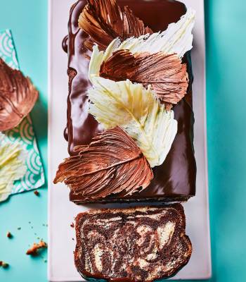 Marbled chocolate feather cake