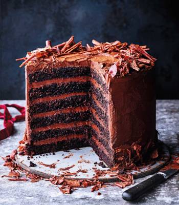 Chocolate fudge cake
