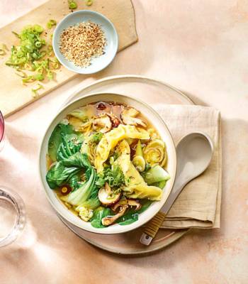 Speedy gyoza soup