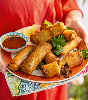 Birria spring rolls