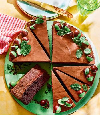 Mint-choc mousse cake