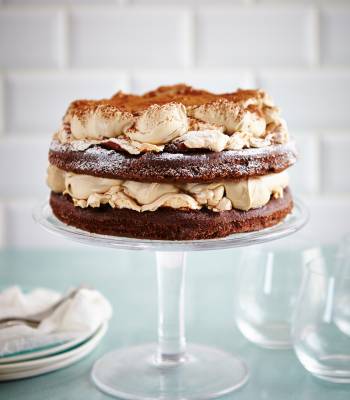 Chocolate sponge and meringue layer cake