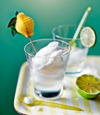 Gin and tonic sorbet with lime