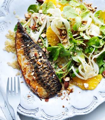 Mackerel with fennel and orange salad