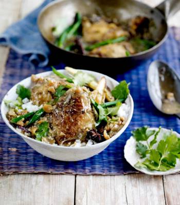 Chicken and peanut coconut curry 