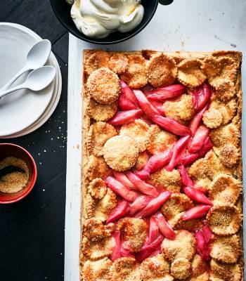 Rhubarb slab pie