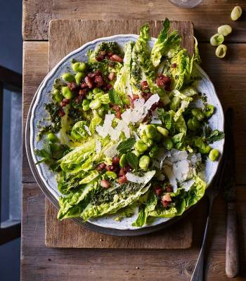 Broad bean, pancetta and mint salad