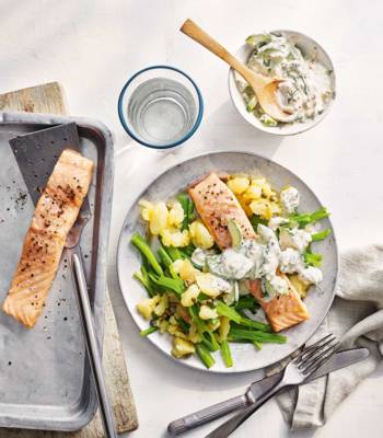 Salmon with dill-cucumber yogurt sauce