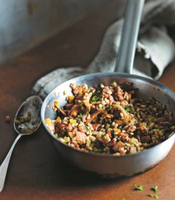 Wild mushroom and barley risotto