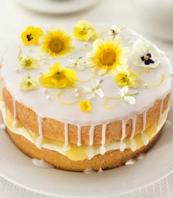 Lemon and elderflower drizzle cake