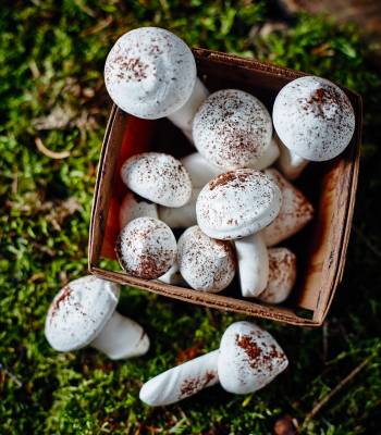 Meringue mushrooms