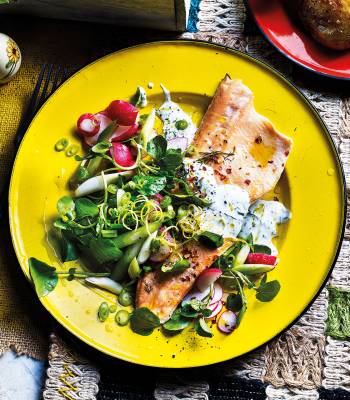 Radish, spring onion and watercress salad with baked trout