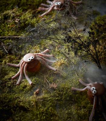 Cola spider cupcakes