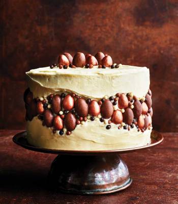 Chocolate and hazelnut fault-line cake