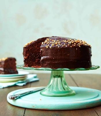Vegan fudgy chocolate cake