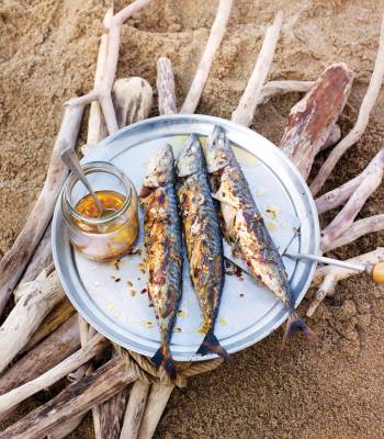Barbecued mackerel with toasted fennel and chilli