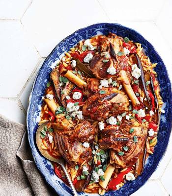 Braised lamb shanks with orzo