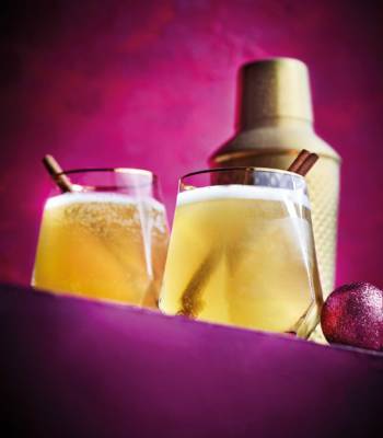 Cinnamon whisky fizz