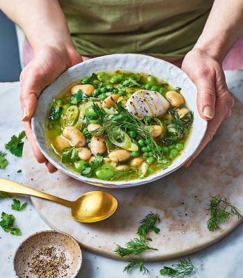 Spring bean broth