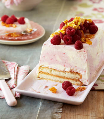 Frozen raspberry trifle terrine