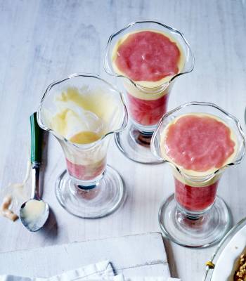 Rhubarb and custard jellies