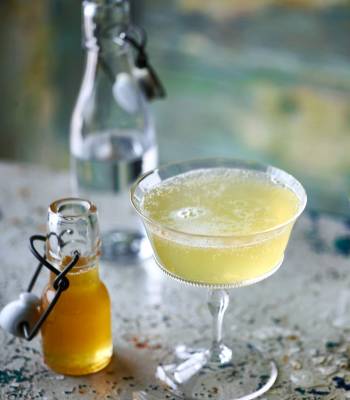 Lemon gin fizz