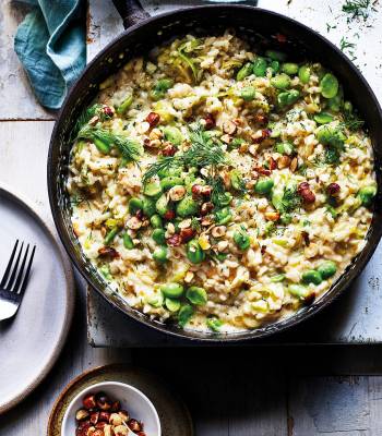 Broad bean, dill and hazelnut risotto