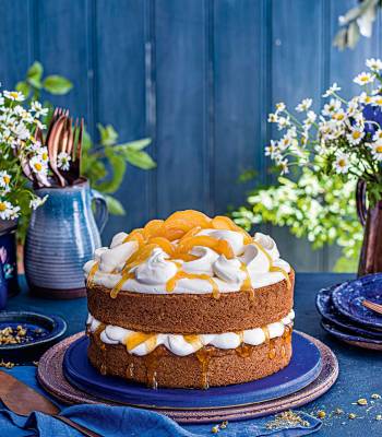 Honey, apricot and camomile cake