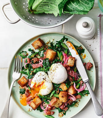 Warm spring greens salad with poached eggs and bacon-fat breadcrumbs