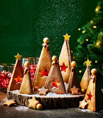Spiced cardamom gingerbread Christmas forest