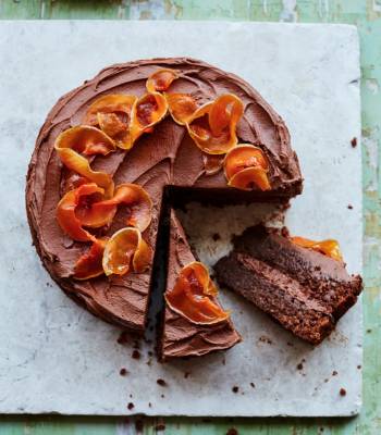 Chocolate and butternut squash cake