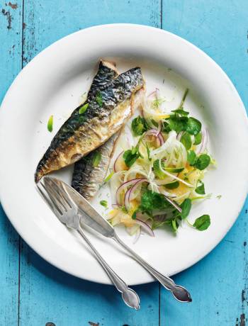 Roasted mackerel with fennel, red onion and apricot salad