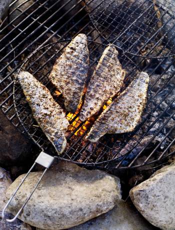 Campfire roast fish with lemon and fennel