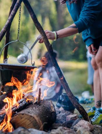 Summer holidays 2025 events... in the countryside