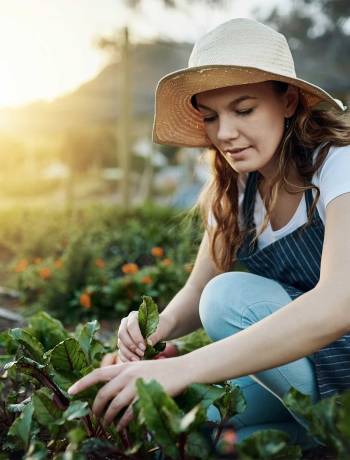 8 ways to keep your garden growing strong this autumn