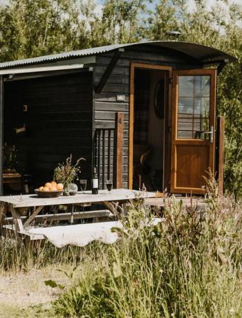 Staycation: Coombeshead Rewilding, West Devon