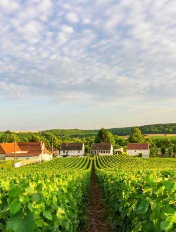 Planning a trip to the Champagne region? Read on…