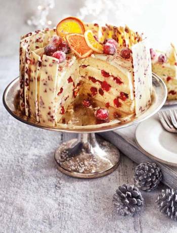 Orange, cranberry and white chocolate gateau 
