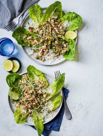 Fragrant turkey larb