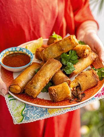 Birria spring rolls