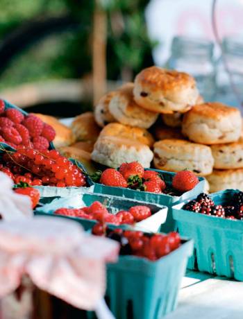 Buttery scones with jam and cream