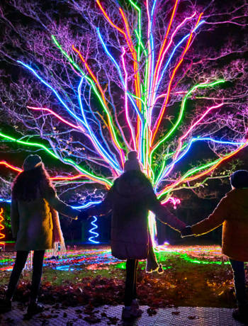 Win fantastic Christmas Trail tickets