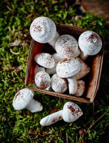 Meringue mushrooms