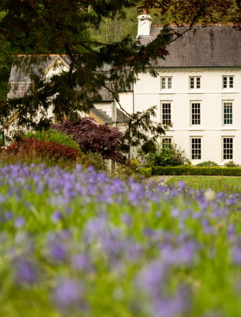 Staycation: Grove of Narberth, Pembrokeshire