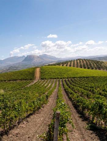 Palermo, Sicily: a city for wine and food lovers