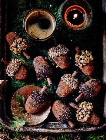 Acorn truffles
