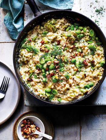 Broad bean, dill and hazelnut risotto